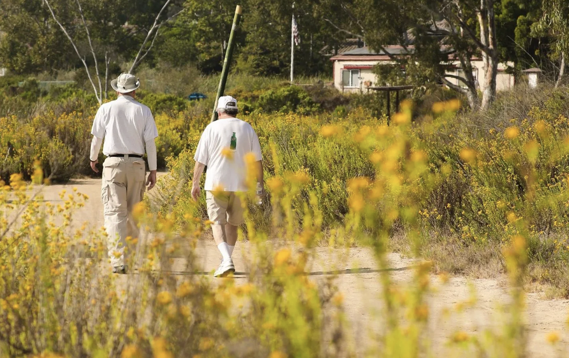 Creepy, Crawly & Cool Docent-led Nature Walk at Batiquitos Lagoon