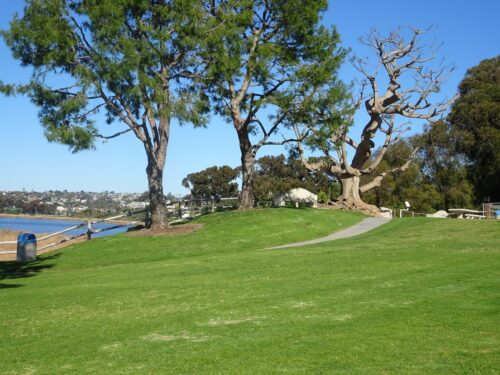 Maxton Brown Park Carlsbad