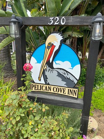 Pelican Cove Inn BB Signage