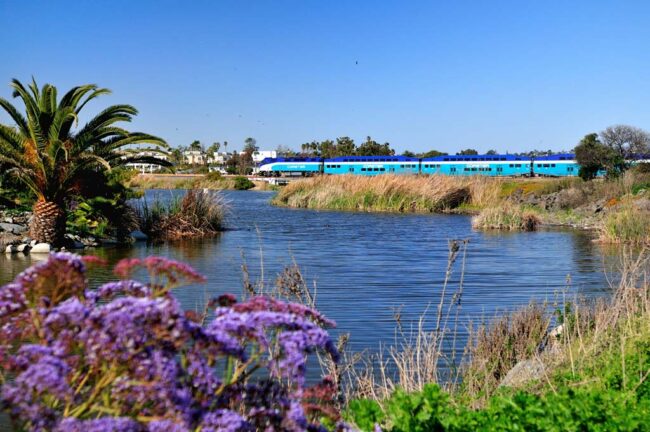 Buena Vista Lagoon is located in northern Carlsbad