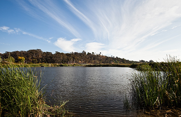 Buena Vista Lagoon is located in northern Carlsbad