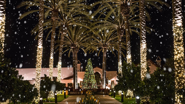 Celebrate the Holidays Throughout Carlsbad, CA 2022